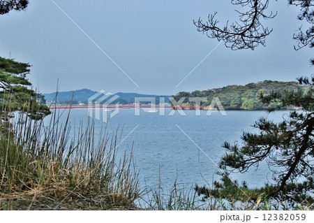 雄島から展望する松島湾 雄島から展望する松島湾 12382059