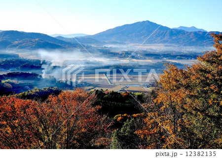 高峰山の山桜 高峰山の山桜 12382135