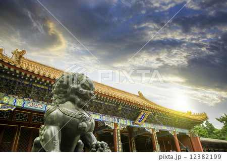 Beijing Forbidden City Lion 12382199