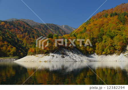 紅葉の黒部湖より平の小屋遠望 12382294