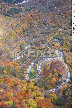 秋の名物 秋の名物 12382304