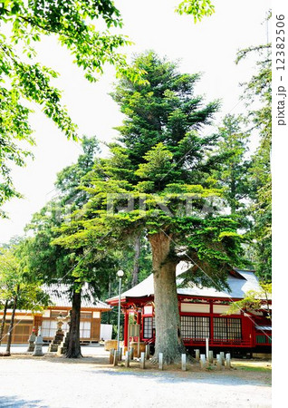 化蘇沼稲荷神社詣で 化蘇沼稲荷神社詣で 12382506