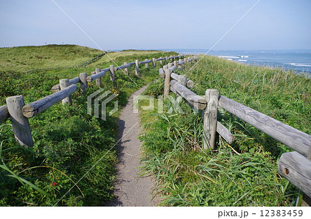 小清水原生花園 12383459