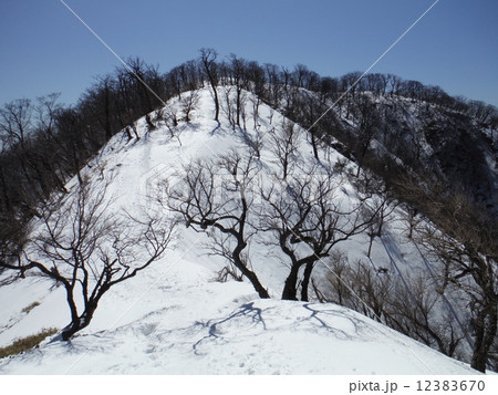 雪の丹沢山 12383670