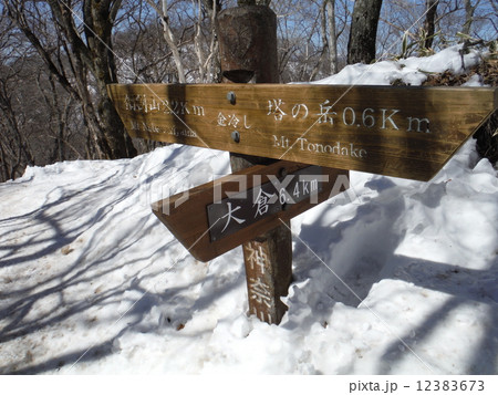 雪の丹沢山 12383673