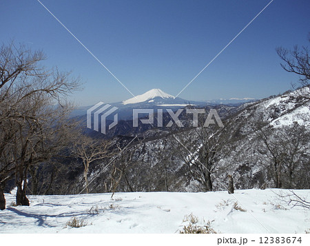 雪の丹沢山 12383674