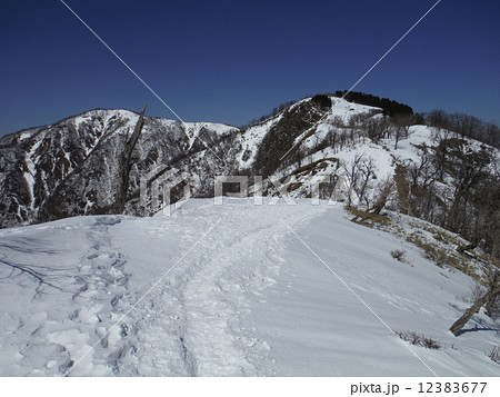 雪の丹沢山 12383677