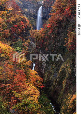 紅葉の大田切渓谷　惣滝 12383743