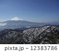 雪の丹沢山 12383786