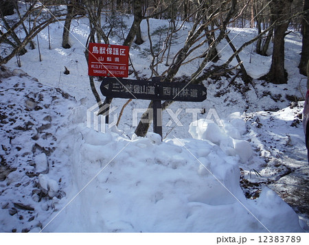 三ッ峠山 三ッ峠山 12383789