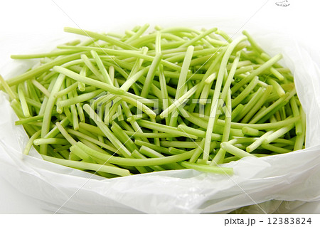 芋のつる 12383824