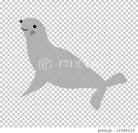 アシカ アシカ 12384129