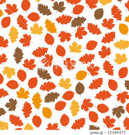 Autumn Foliage 12384477