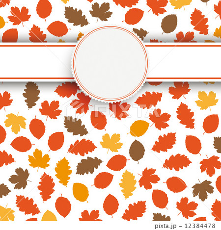 Autumn Foliage 12384478