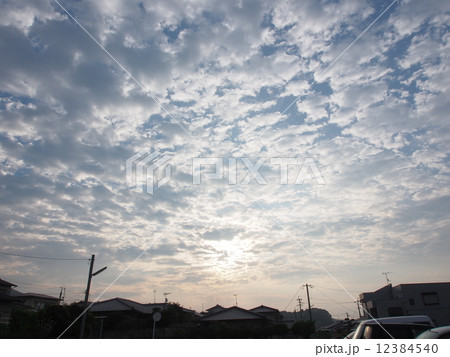 うろこ雲と朝日 うろこ雲と朝日 12384540