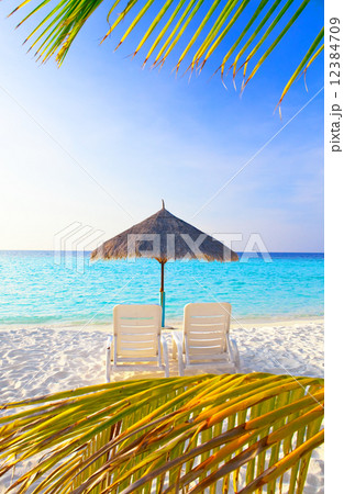 Parasol and chaise lounges 12384709