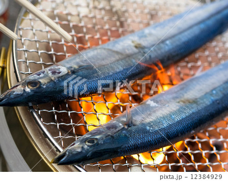 さんま さんま 12384929