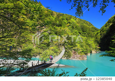 寸又峡夢の吊り橋 12385040