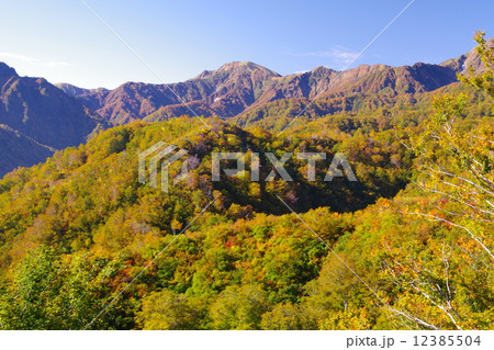 越後中ノ岳秋景色 12385504