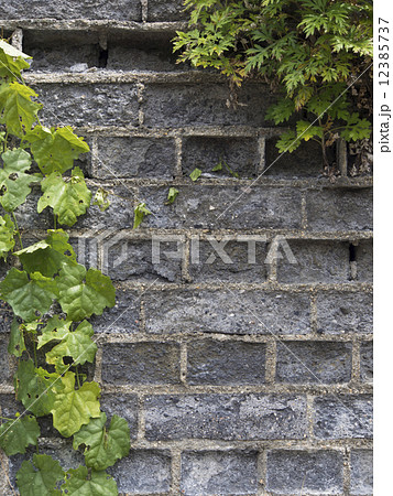 灰色のレンガの壁 12385737