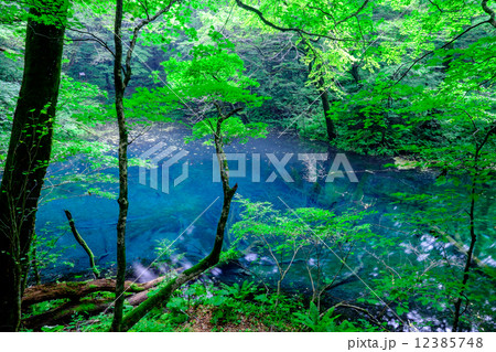 沸壺の池 12385748