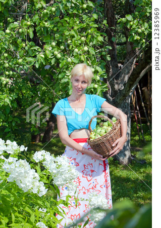 The young attractive woman with a basket of apples in a garden. 12385969