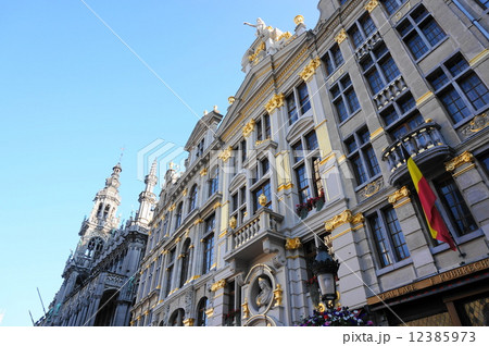 朝のグランプラス 朝のグランプラス 12385973