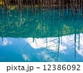 青い池 12386092
