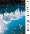 青い池 12386093