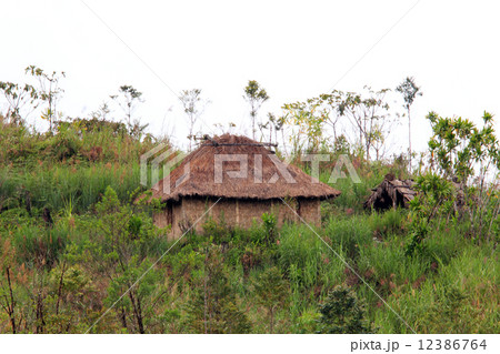 パプアニューギニアの原始的な住居 12386764
