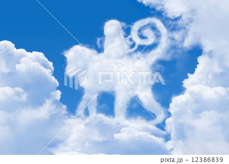 猿雲 12386839