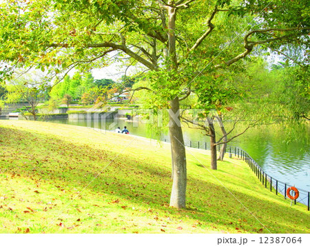 池の畔で 12387064