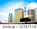 東京スカイツリーと高層ビル 12387518