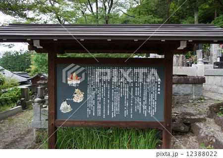 萬松山興禅寺界隈（境内） 12388022