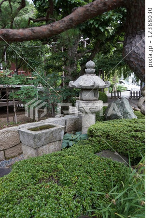 萬松山興禅寺境内(石灯篭) 萬松山興禅寺境内(石灯篭) 12388030