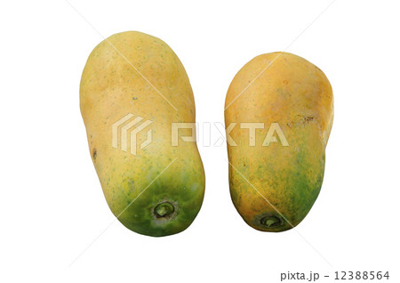 fresh papaya on white background 12388564