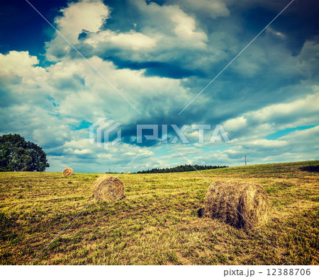 Hay bales on field 12388706