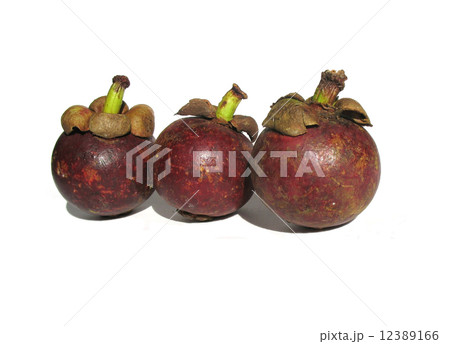 Mangosteen (Garcinia mangostana), the family Clusiaceae 12389166
