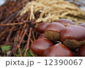 秋の味覚 12390067