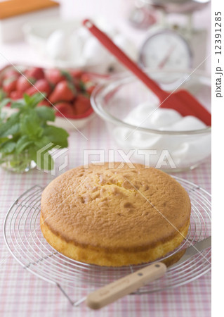 ケーキ作りの材料 スポンジケーキ ケーキ作りの材料 スポンジケーキ 12391285