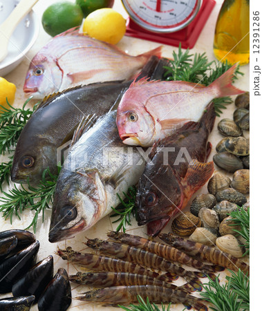 イタリア料理 12391286