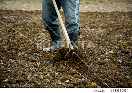 畑を耕す人の足元 畑を耕す人の足元 12391294