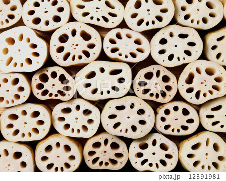 レンコン 12391981