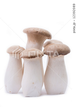 Eryngii mushroom five pieces isolated Eryngii mushroom five pieces isolated 12392089