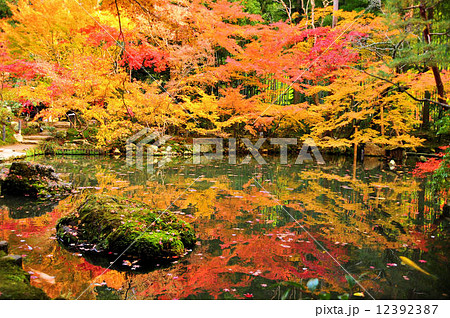 秋の南禅寺天授庵 12392387