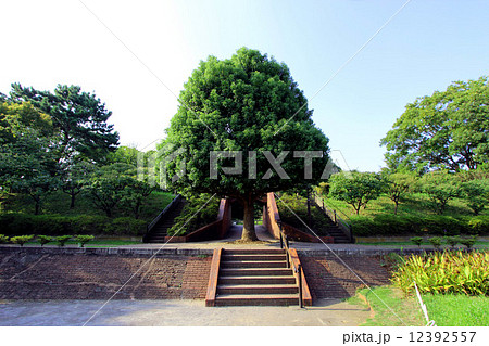 多摩川台公園 12392557