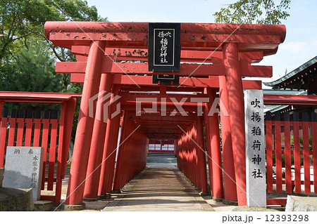 今治城 吹揚稲荷神社 今治城 吹揚稲荷神社 12393298