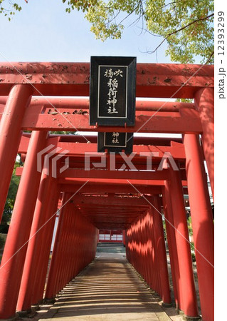 今治城 吹揚稲荷神社 今治城 吹揚稲荷神社 12393299