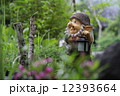 森の小人 12393664