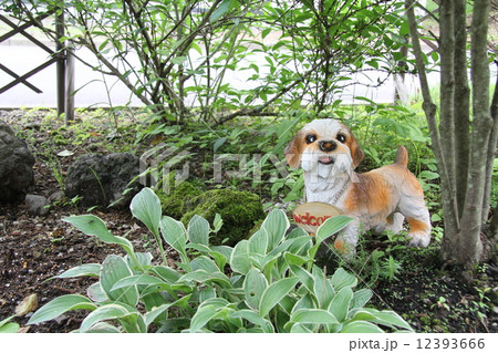 森の子犬 森の子犬 12393666